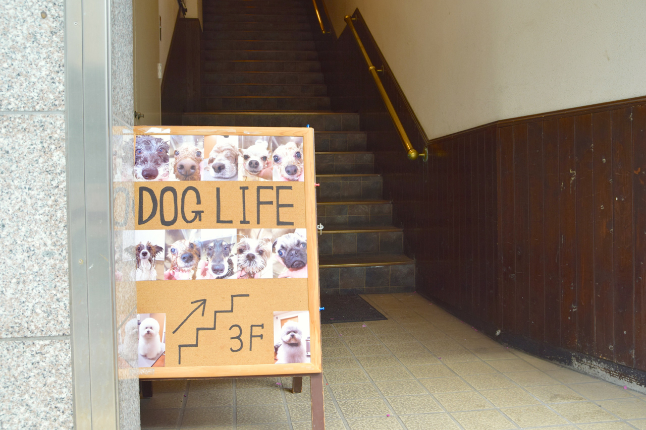 DOG LIFEギャラリー